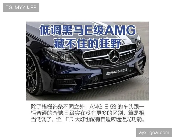 E组黑马背后的关键数据
